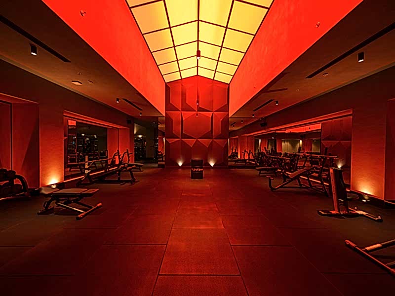 orjin-fitness-palladium
